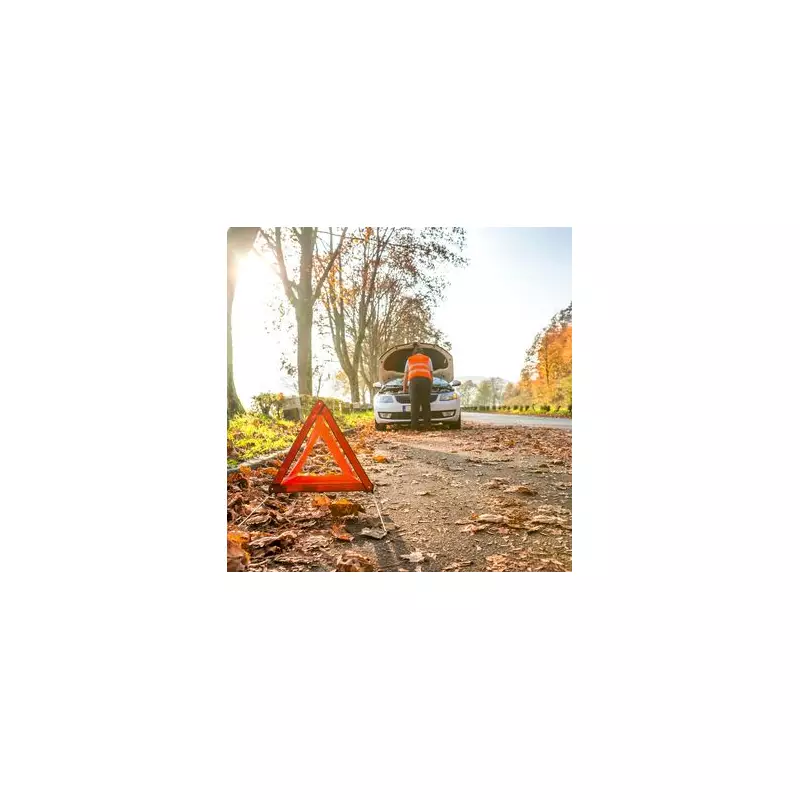 Motorway Parking Peril: Experts Reveal Why Service Stations Are a Car Thief's Paradise