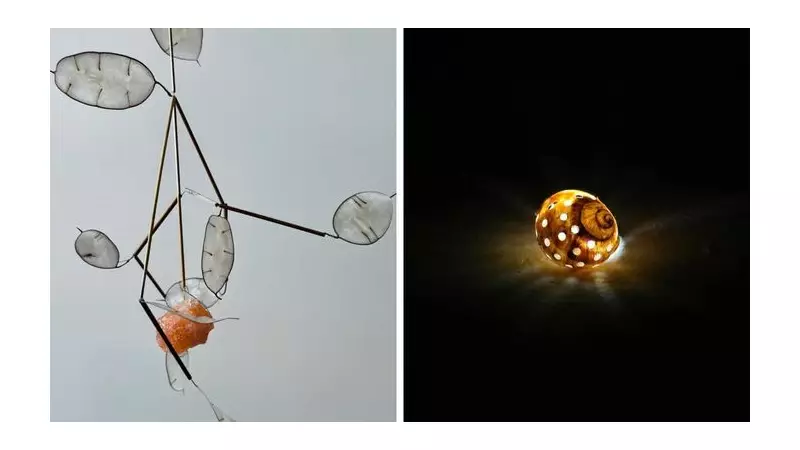 Nature's Delicate Beauty Takes Centre Stage in Captivating Chester Art Exhibition