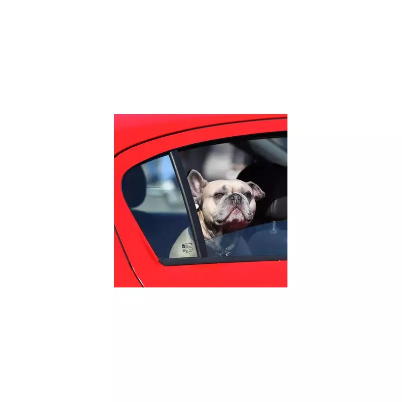 The 30p Hack Every UK Driver Needs to Know This Winter