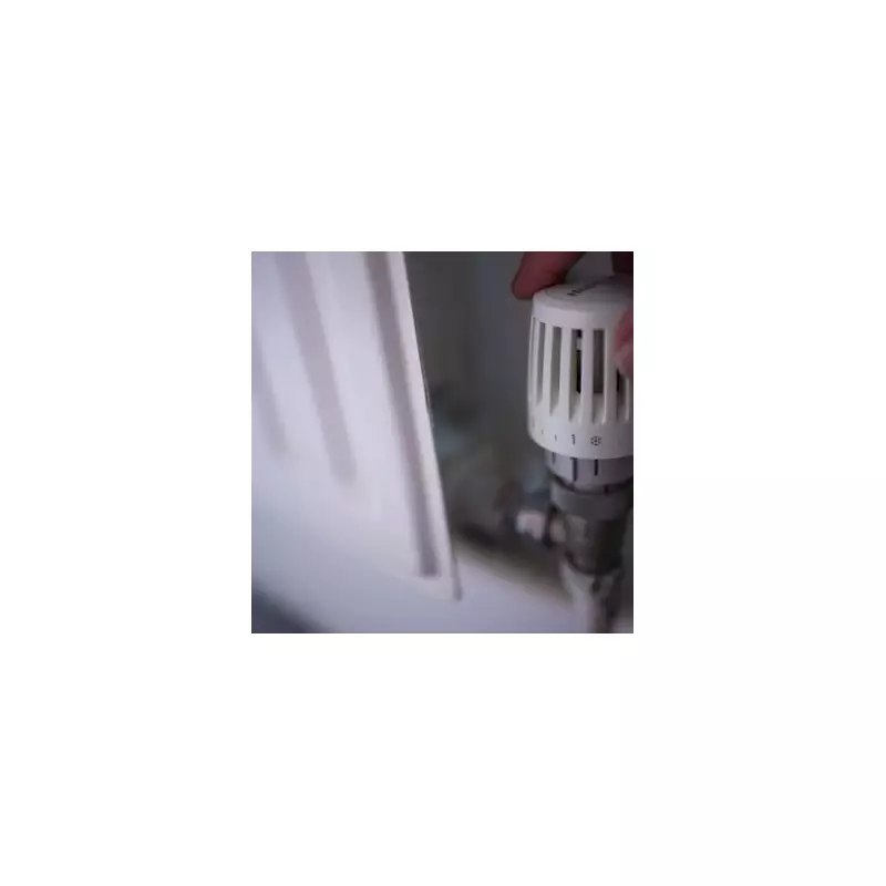 UK Energy Crisis: Experts Urge Brits to Boost Home Temperature to Combat Damp and Mould