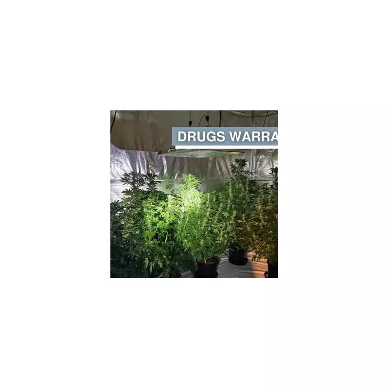 West Midlands Police Uncover Massive Cannabis Farm in Wolverhampton Raid