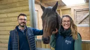 Building Futures: Housing Giant's Heartwarming Gesture Supports Vulnerable Horses