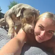 Mum's Secret School Run: The Illegal 27-Child Taxi Service That Shocked Authorities