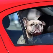 The 30p Hack Every UK Driver Needs to Know This Winter