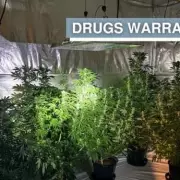 West Midlands Police Uncover Massive Cannabis Farm in Wolverhampton Raid