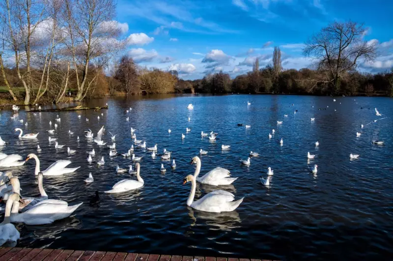 Discover the West Midlands' Top 5 Walking Routes for 2025