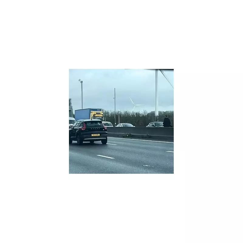 Dramatic M1 Police Chase: Suspect Flees into Oncoming Traffic