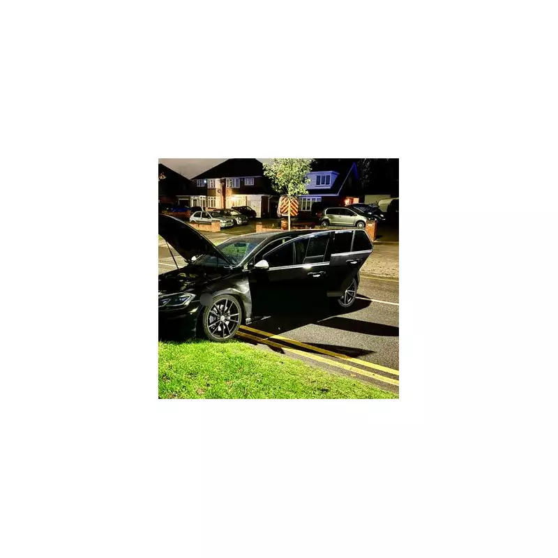 Dramatic Police Chase in Birmingham Ends with Crash and Dog Bite