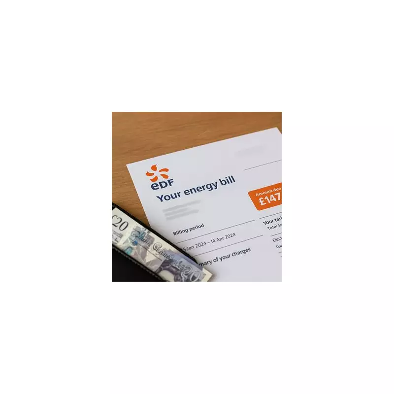 EDF Winter Warmer Shop: Free Air Fryers & Support for Vulnerable