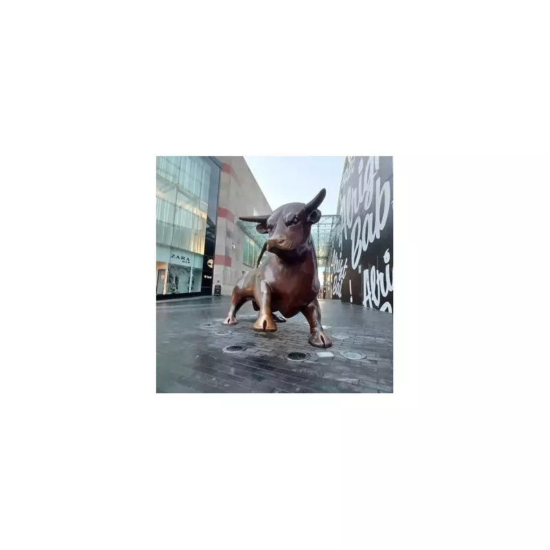 Five Arrested After 17-Year-Old Stabbed Near Birmingham Bullring