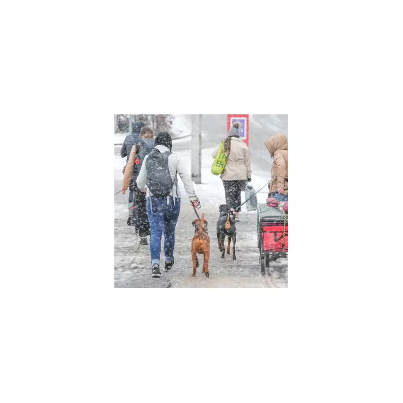 Midlands Braces for 5cm Snow and 13.2mm Rain Deluge