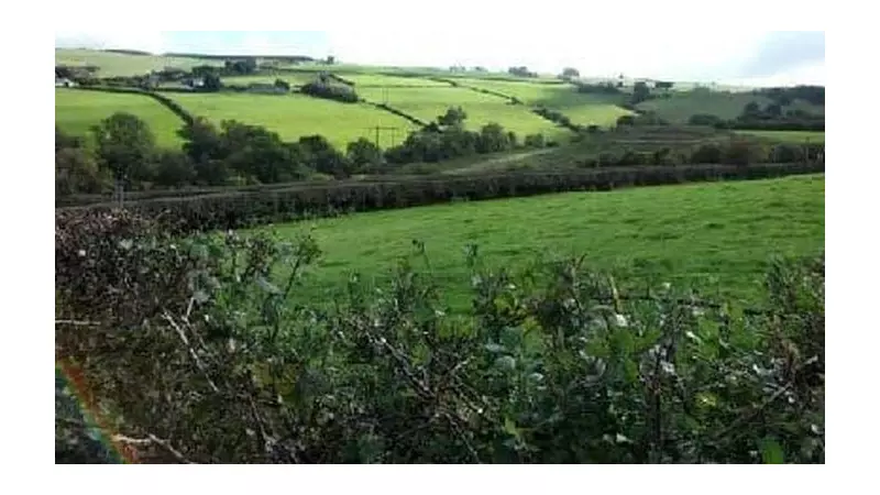 National Grid Seeks Views on Upper Ogmore Wind Farm Connection