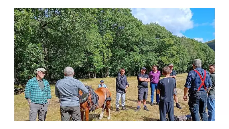 National Lottery Boost for Welsh Heritage: Alabaré's Veteran Stories Project Secures Vital Funding