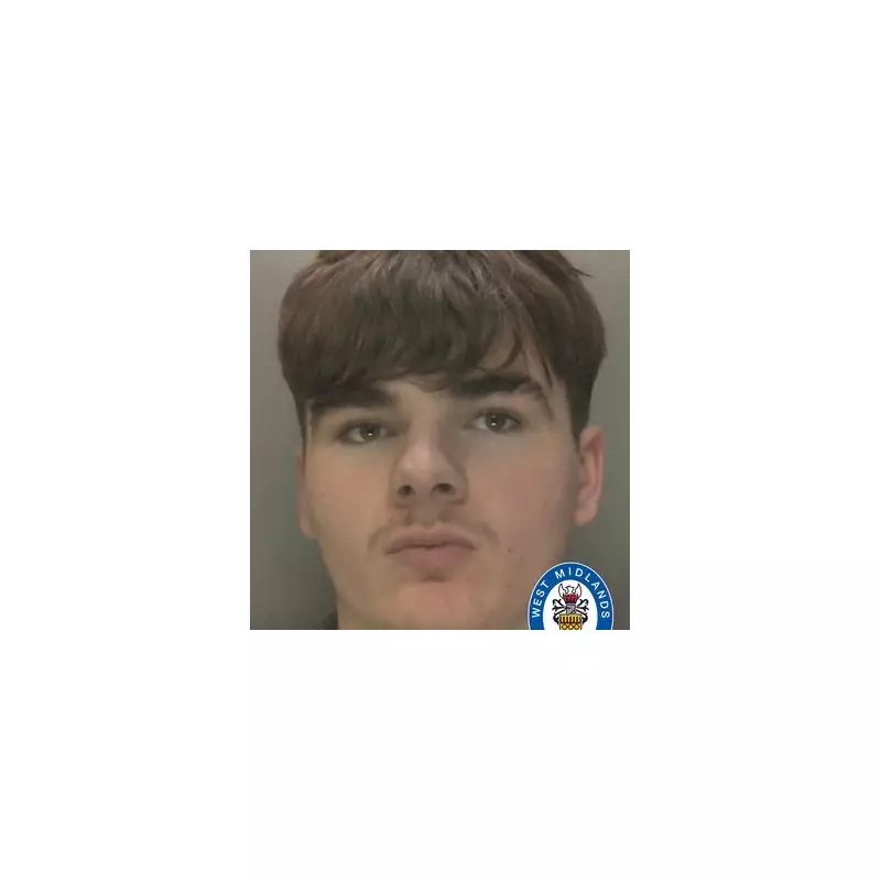 Teen to be sentenced for A38 police chase and fire extinguisher attack