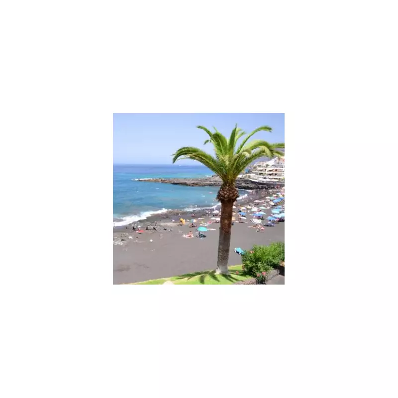 Tenerife Red Alert: Three Dead as 15ft Waves Hit UK Tourist Hotspot