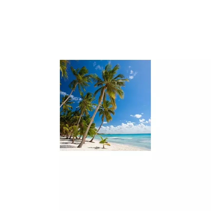 TUI Cruise Excursion Catamaran Sinks in Caribbean, 55 Passengers Leap to Safety