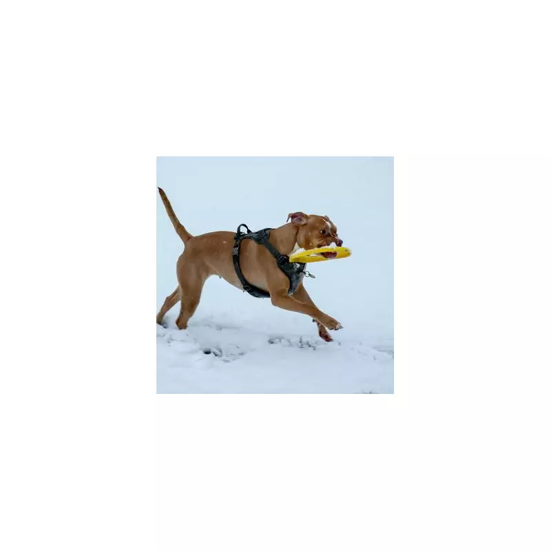 UK Braces for Snow as Cold Snap Follows Storm Claudia