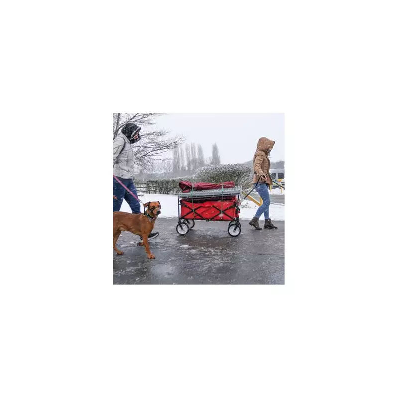 UK Braces for -4C Arctic Blast as Snow and Ice Set to Grip Nation