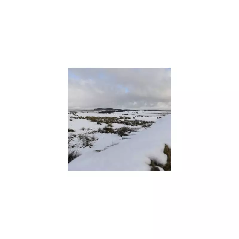 UK Snow Alert: 18 Areas Face Blizzards and -9C Freeze