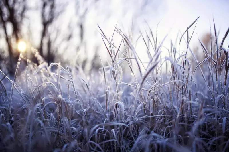 West Midlands Cold Snap: When Will It End? Full Forecast