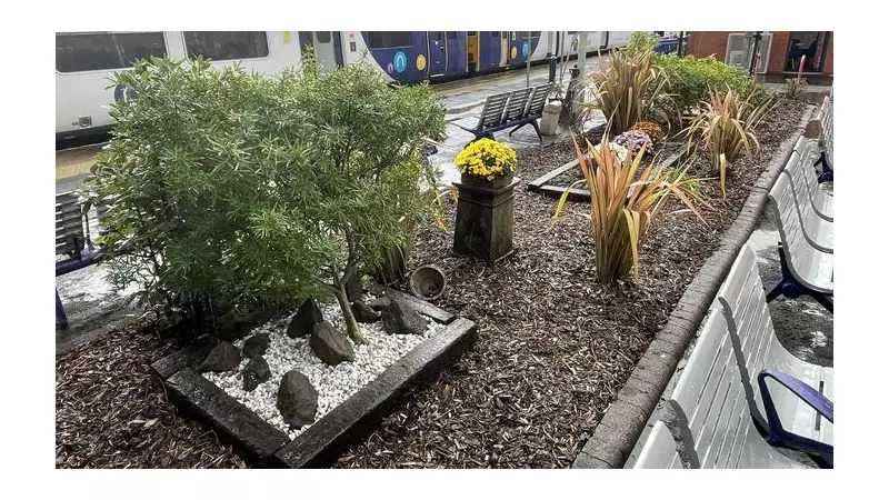 Wigan Wallgate Blooms: Northern's Green-Fingered Volunteers Transform Station