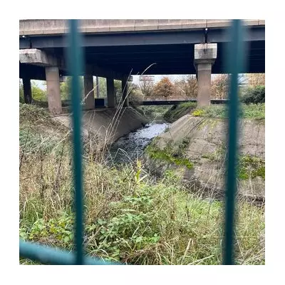 Hidden Wednesbury footpath reveals Black Country's gritty beauty