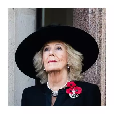 Queen Camilla's Silent Support for Emotional King Charles at Remembrance