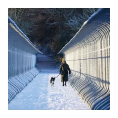 UK Snow Warning: 20cm Set to Hit Scotland in Late November