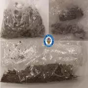 Birmingham Police Seize £Thousands of Cannabis in Stockland Green Raid