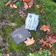 Birmingham War Memorial Vandalised: Outrage as City's Sacrifice Is Disrespected