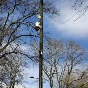 Birmingham's Fly-Tipping Nightmare: Shocking Images Show Rubbish Mountain Blocking Community