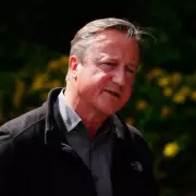 David Cameron Reveals Prostate Cancer Diagnosis After Wife's Urging