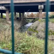 Hidden Wednesbury footpath reveals Black Country's gritty beauty