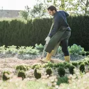 It's Not Too Late: Bulbs to Plant Now for a Spring Garden