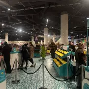 Jellycat Mania Hits Birmingham: Exclusive Soft Toy Launch Creates Shopping Frenzy at Selfridges