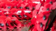 Leicester to Fall Silent in Moving Remembrance Sunday Tributes This Weekend