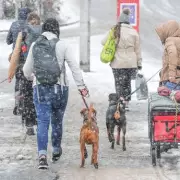 Midlands Braces for 5cm Snow and 13.2mm Rain Deluge