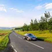 Millions Risk Fines by Ignoring Highway Code's 24-Hour Animal Collision Rule