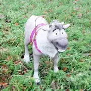 Police Find Frozen's Sven Toy After 'Abandoned Dog' Reports in Derbyshire