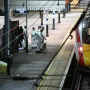 Police Reveal Ethnic Backgrounds of Multiple Suspects Following Violent Train Attack
