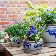 RHS: Do This One November Task to Save Your Plants This Winter