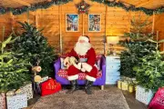 Santa Paws Brings Festive Cheer to Birmingham Dogs Home Fundraisers