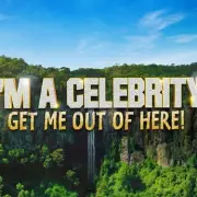 Seann Walsh's Jungle Return After Strictly Scandal Destroyed Career