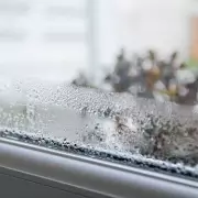 Stop Condensation Overnight With This 50p Trick That Actually Works