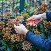 The 5-Minute November Gardening Task That Could Save Your Plants From Winter Destruction