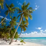 TUI Cruise Excursion Catamaran Sinks in Caribbean, 55 Passengers Leap to Safety