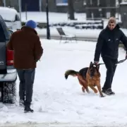 UK Braces for 18cm of Snow as Arctic Blast Hits This Week