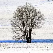 UK Braces for Sub-Zero Temperatures and Snowfall in Nine Regions
