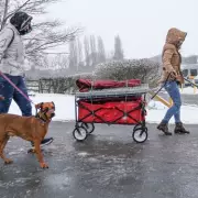 UK Braces for -4C Arctic Blast as Snow and Ice Set to Grip Nation