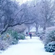 UK Cold Snap Could Trigger First £25 Cold Weather Payments of Winter